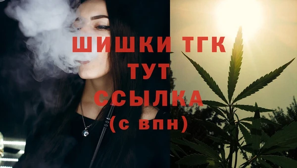 амф Володарск
