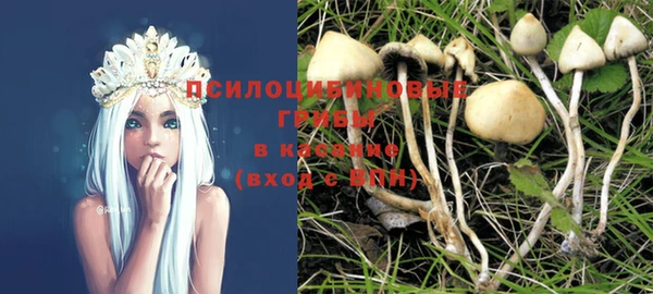 амф Володарск